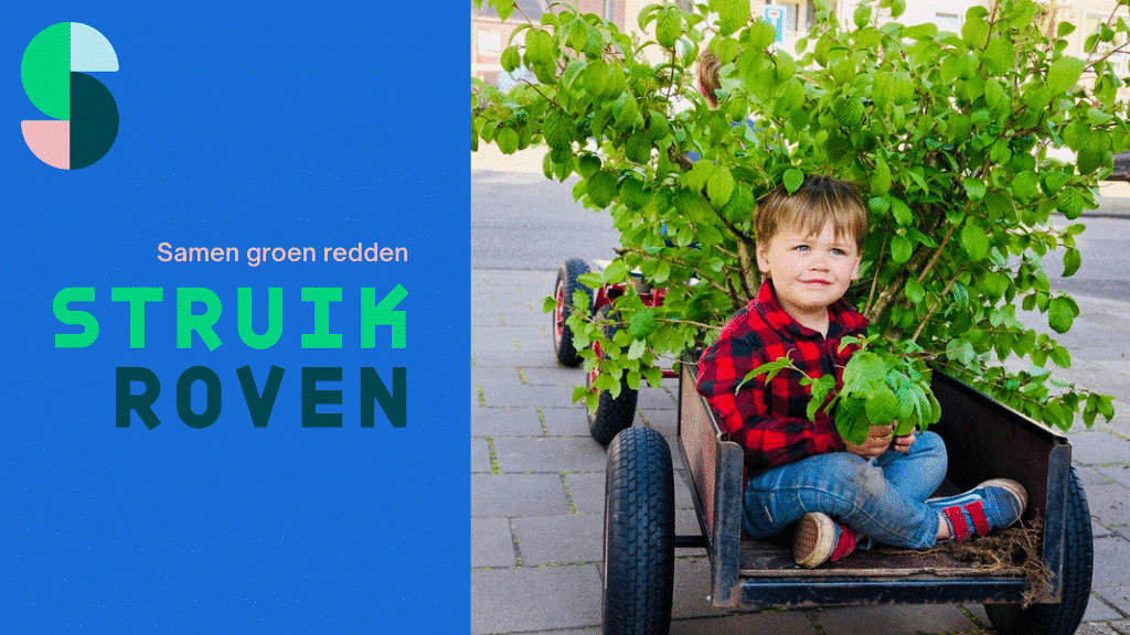 Struikroven groot